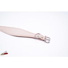 Dogtech Agár Nyakörv - Kan