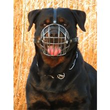 Dogtech Rottweiler 3