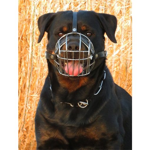 Dogtech Rottweiler 3