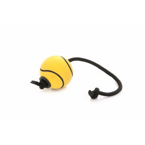 Dogtech 6cm átmérőjű szivacs labda