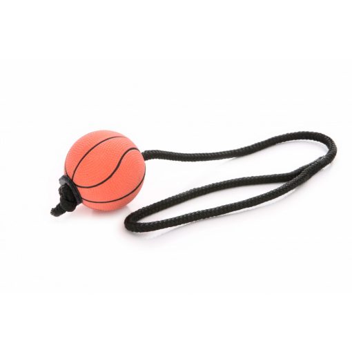 Dogtech 6cm átmérőjű szivacs labda
